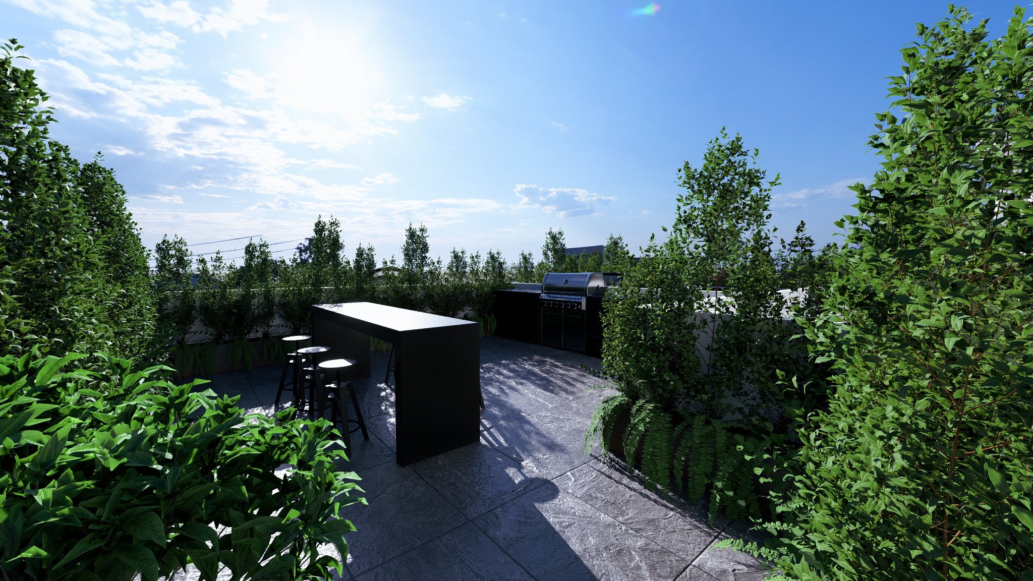 Roof Garden